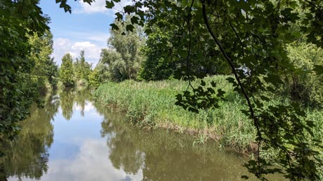 Bode und Bode zwischen Unseburg und Rothenfrde