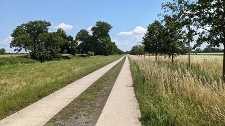 Bode und Boderadweg zwischen Egeln und Wolmirsleben